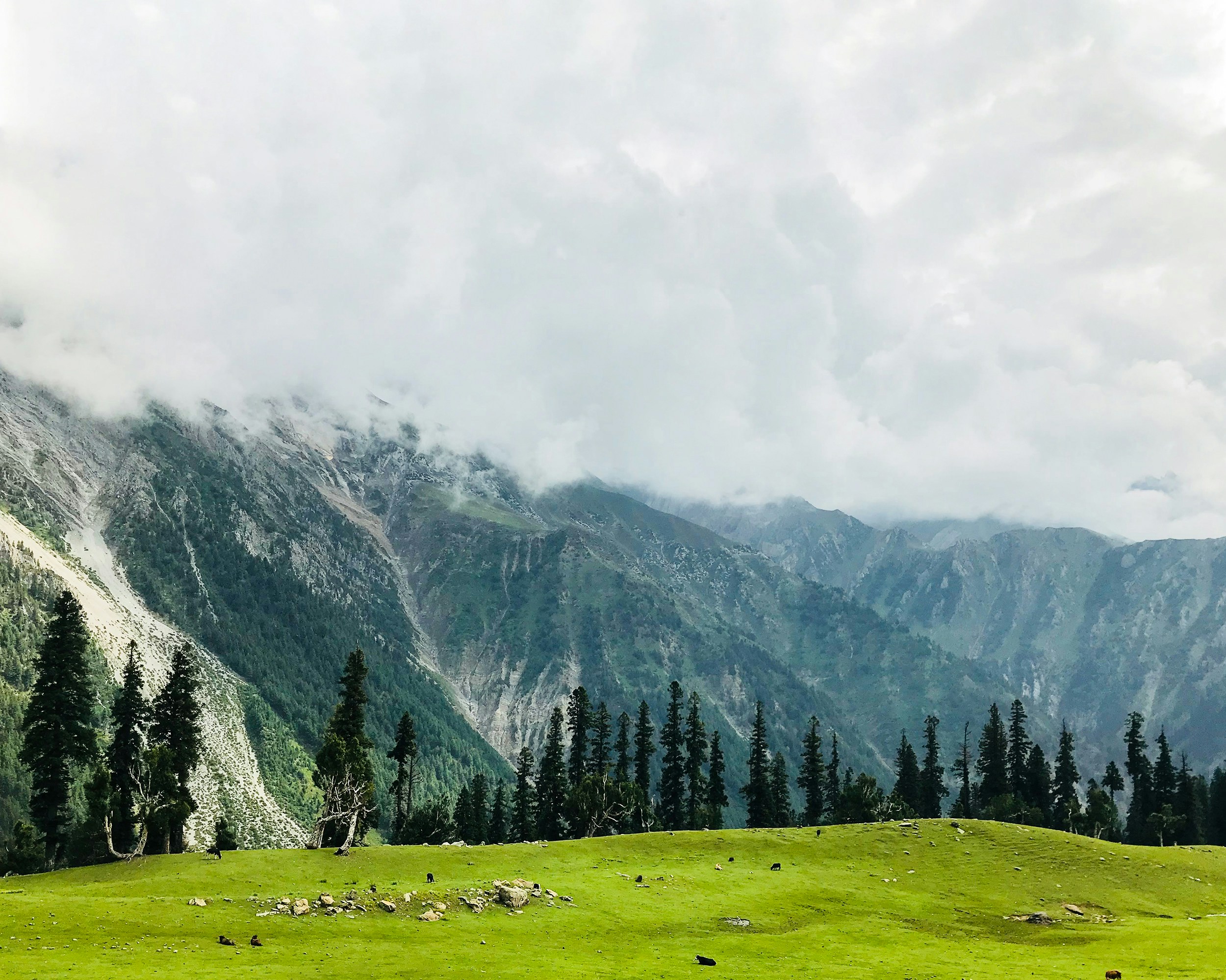 Kashmir Snow Escape 2026 – New Year Special! photo 1