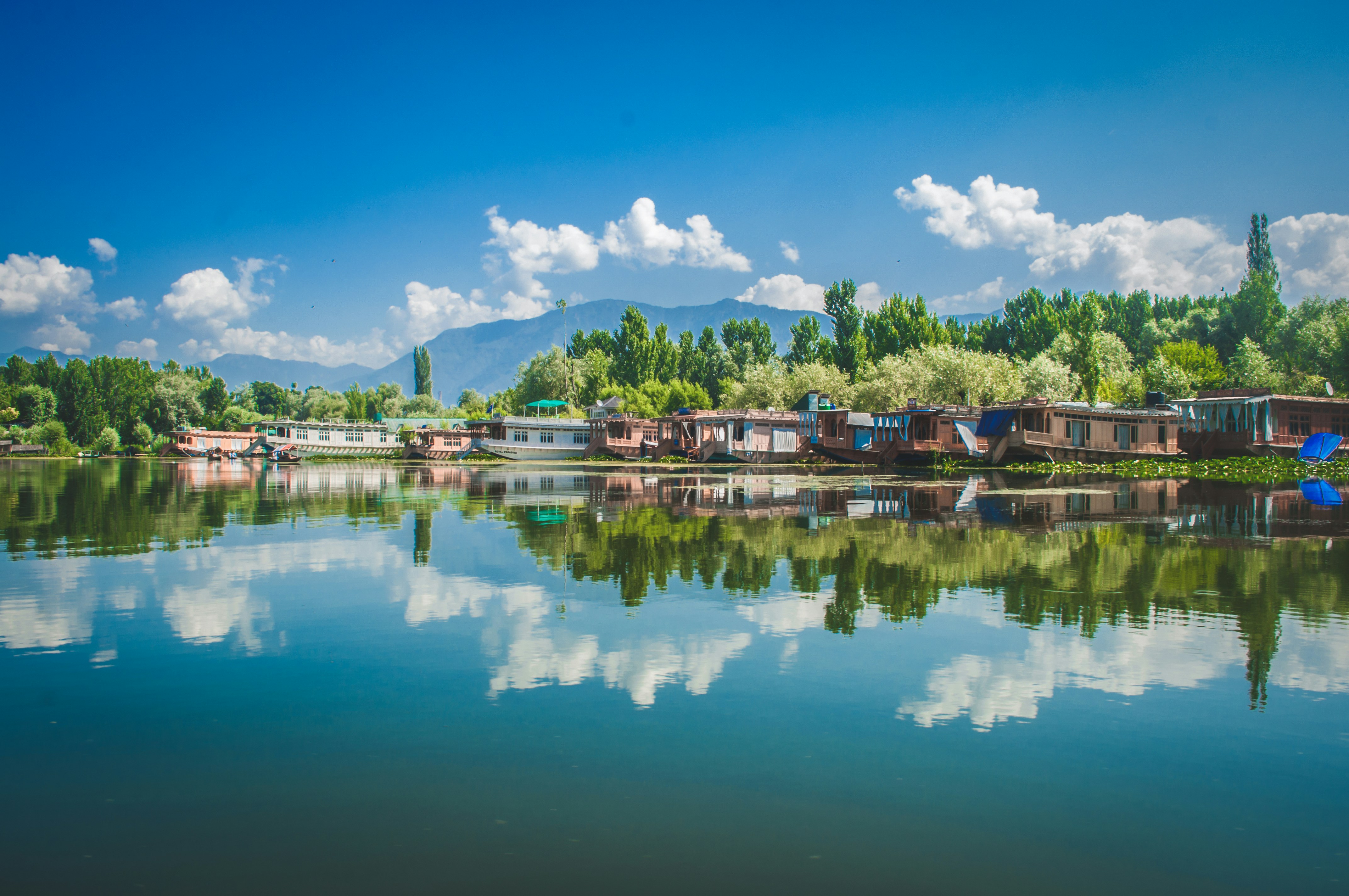 Kashmir Snow Escape 2026 – New Year Special! photo 2