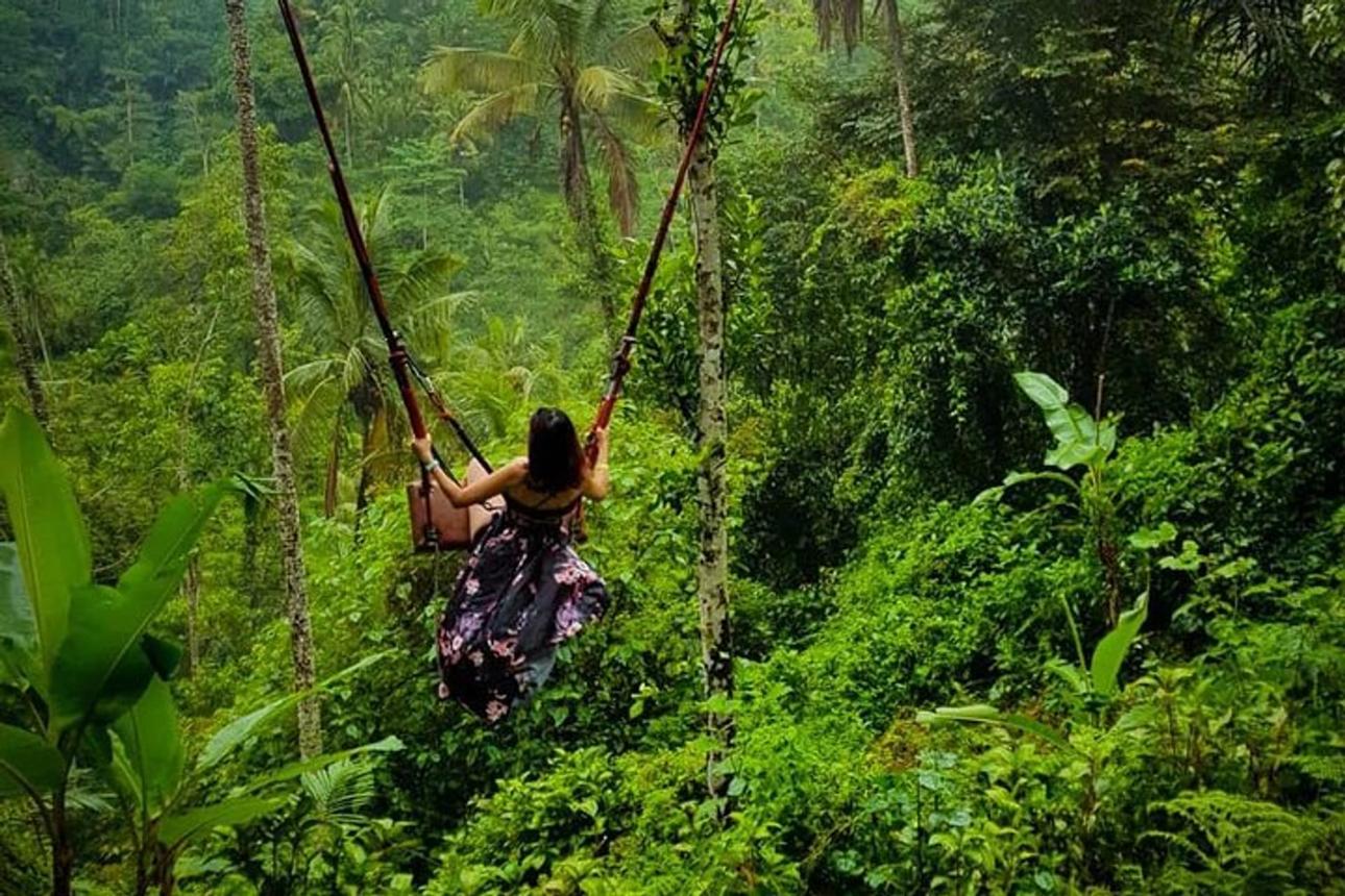 Bali Island Explorer photo 4