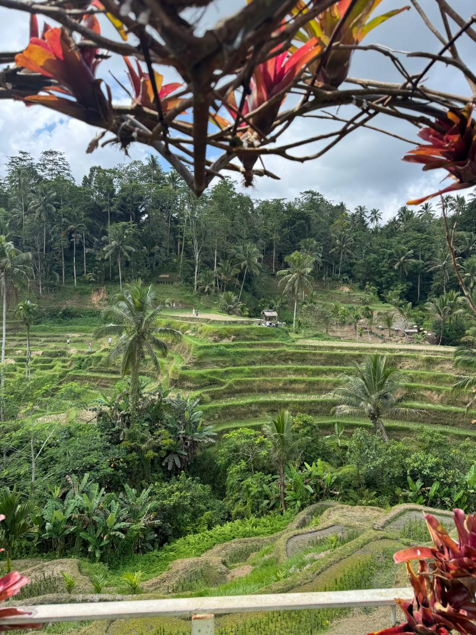 7 Nights / 8 Days Bali Experience photo 7